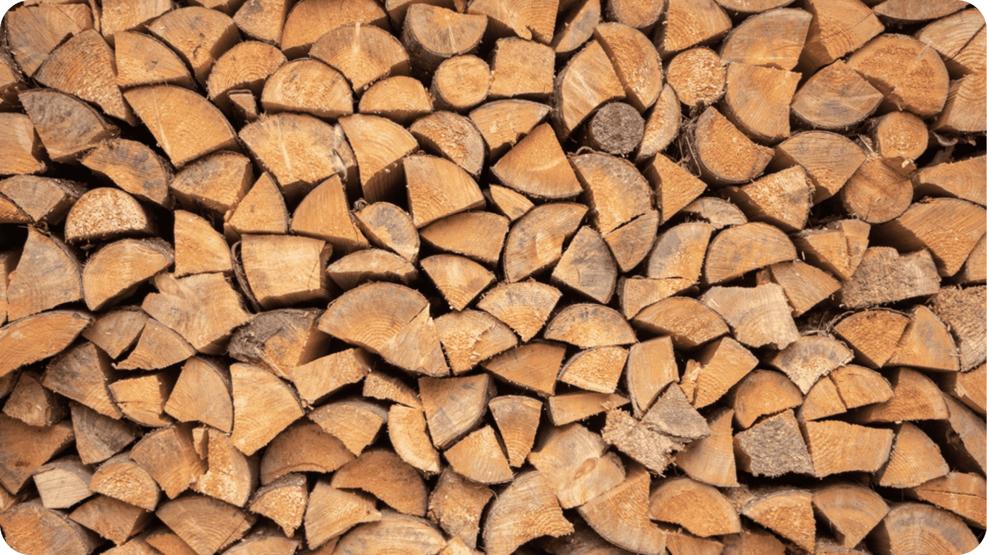 Buches de bois en vrac